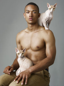 cats-male-models-photoshoot-pussy-riot-michelangelo-cecilia-3-5819da9d46e75__880