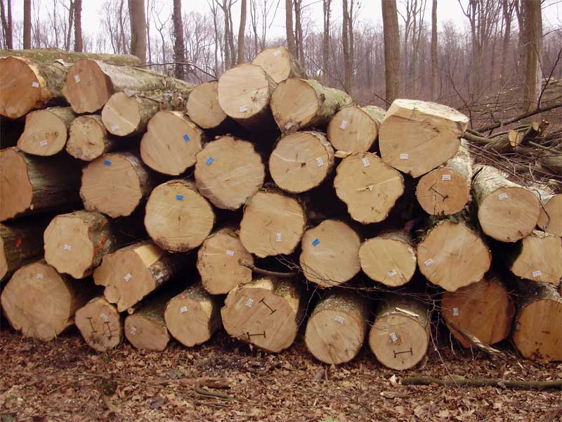 Već na prvoj sjednici Vlade kadroviranje putem stranačkih iskaznica u 1420 državnih poduzeća