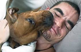 Provedena istraživanja o ovom zanimljivom pitanju: Spavati ili ne spavati s kućnim ljubimcem?