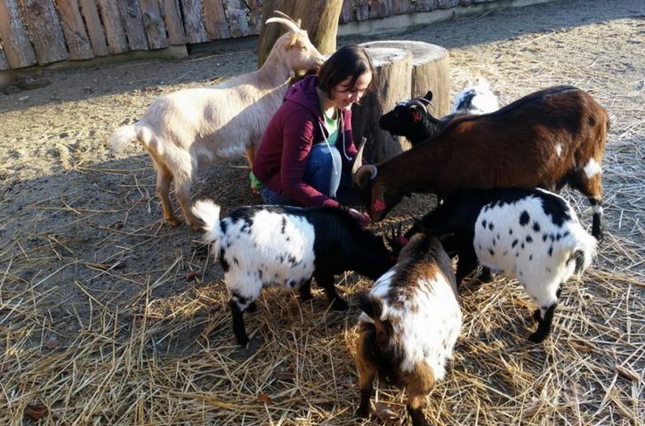 Volite životinje: Volontirajte u Zoo vrtu grada Zagreba, tradicija uključivanja sugrađana u rad
