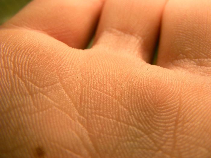 Evo zašto imamo izražene linije na dlanovima