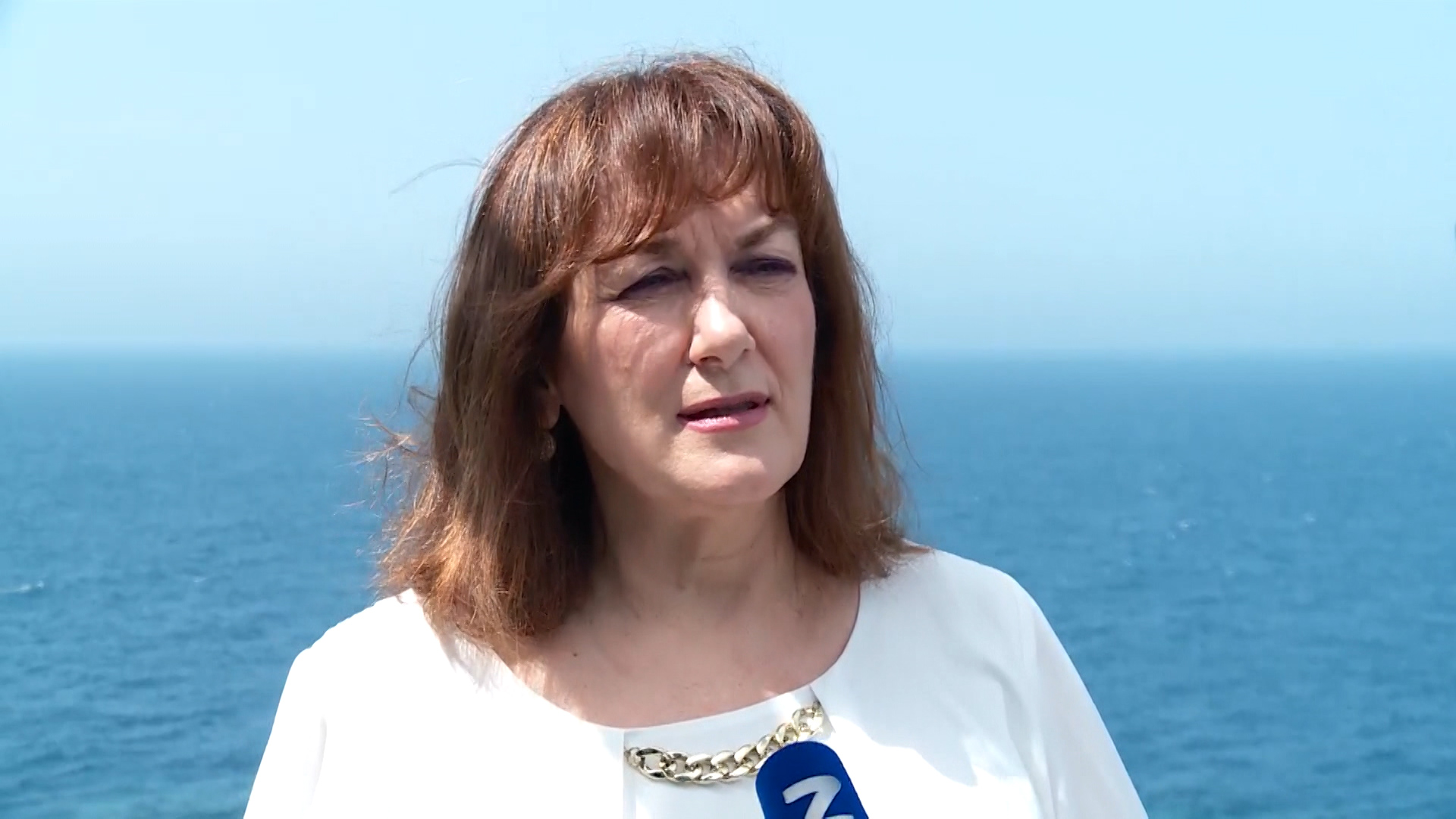 Šuica otkrila pozadinu njemačke packe oko arbitraže: Slovenska diplomacija je radila, hrvatska se povukla