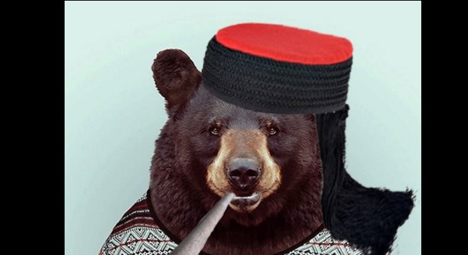 Bloger Krule postao savjetnik Vlade za poreznu politiku