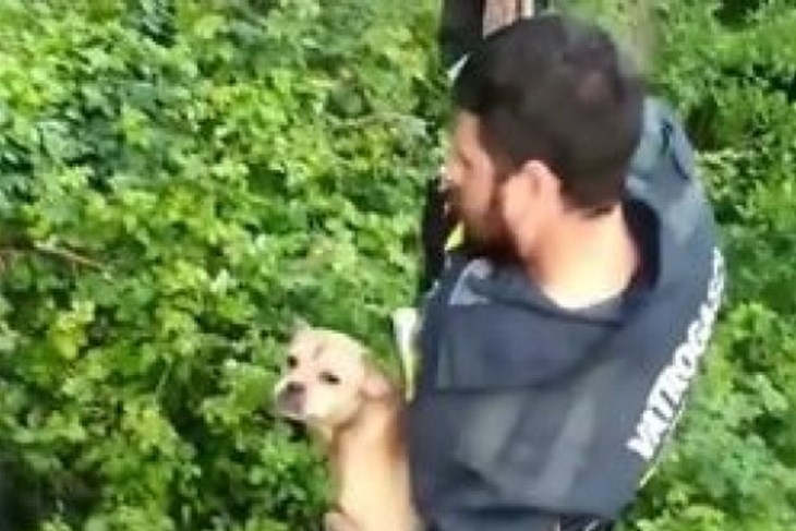 VIDEO Hrabri vatrogasci spasili psića kojeg je netko bacio uz Rječinu