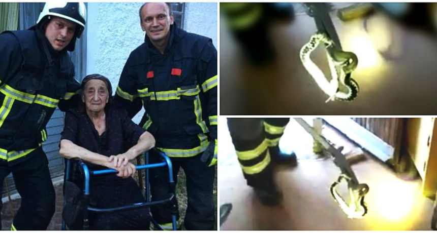 VIDEO Vatrogasci s Plitvičkih jezera spasili baku od riđovke koja joj je ušla u kuhinju