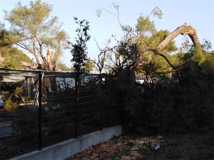 MUP se oglasio o nevremenu u Hrvatskoj: Dojave o srušenom drveću na prometnice i dalekovode, nestancima električne energije, oštećenjima krovišta, ozljedama osoba….