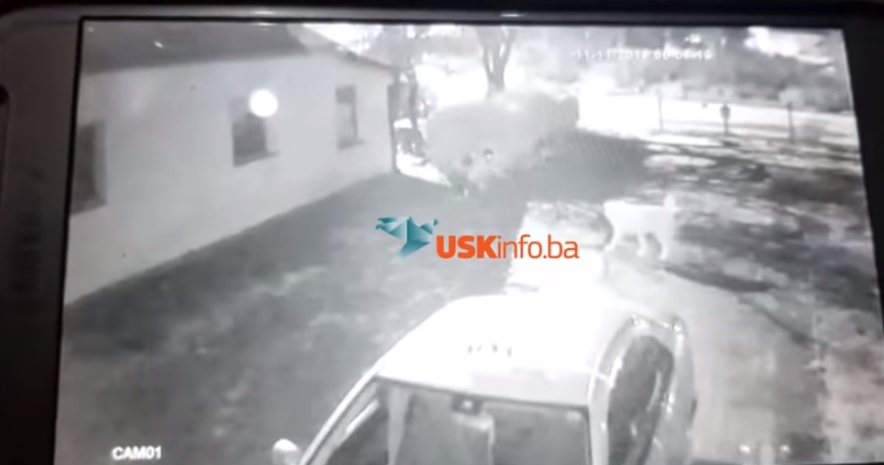 VIDEO Potpuni užas pokraj migrantskog kampa u BiH, vlasniku se pas čudno ponašao,a na snimci je vidio tko ga je – silovao