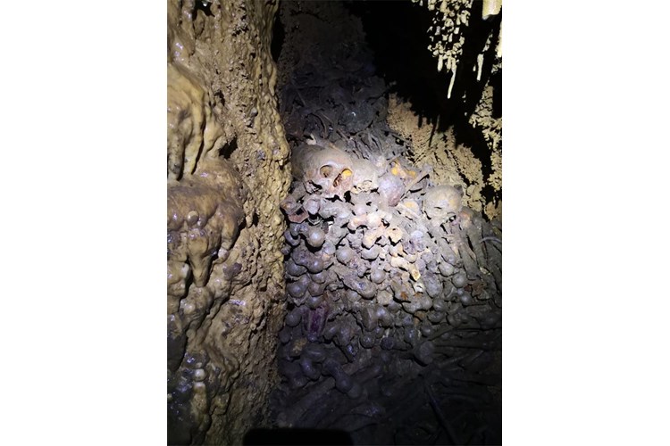 Završena ekshumacija iz jame Jazovka, izvađeni su posmrtni ostaci najmanje 814 osoba