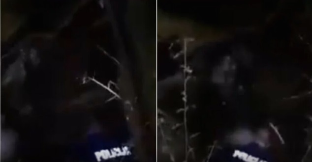 VIDEO Drama u Istri: Policija izvukla migranticu iz nabujale rijeke, u tijeku potraga za njezinim djetetom