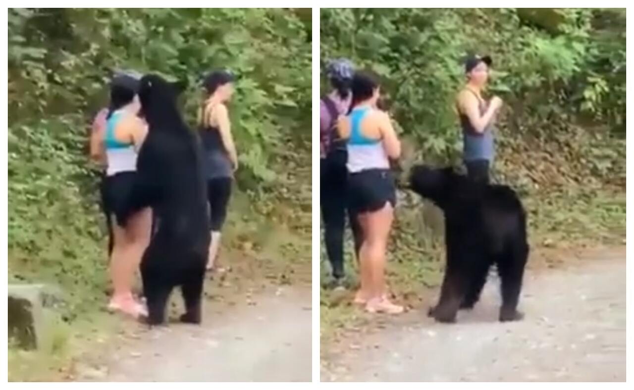 VIDEO Ženu nasred ceste napao golemi crni medvjed: Pogledajte na koji se nevjerojatan način izvukla
