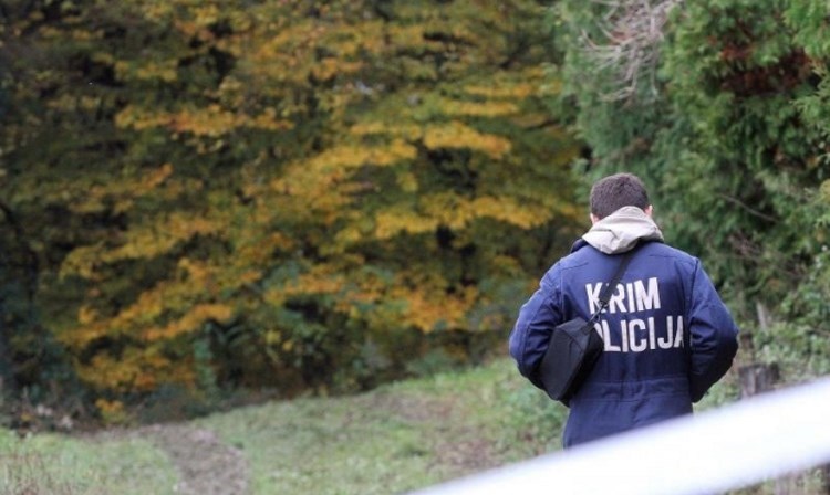 Užasna tragedija kod Bjelovara: Motorkom rušio vrbu, stablo puklo kod panja i raskolilo se…