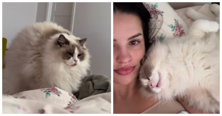VIDEO Mačka svako jutro čeka vlasnicu da se probudi kako bi se mazile, video topi srca