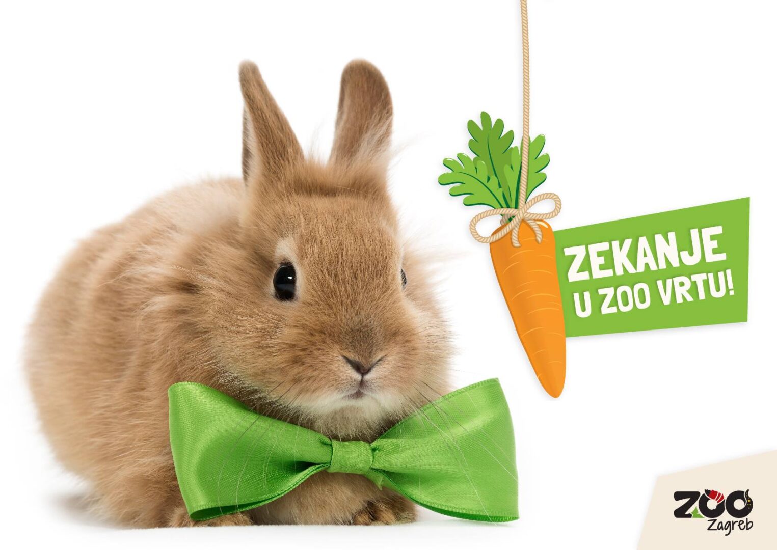 Dođite na “Zekanje” u Zoološkom vrtu Grada Zagreba i sudjelujte u humanitarnoj akciji