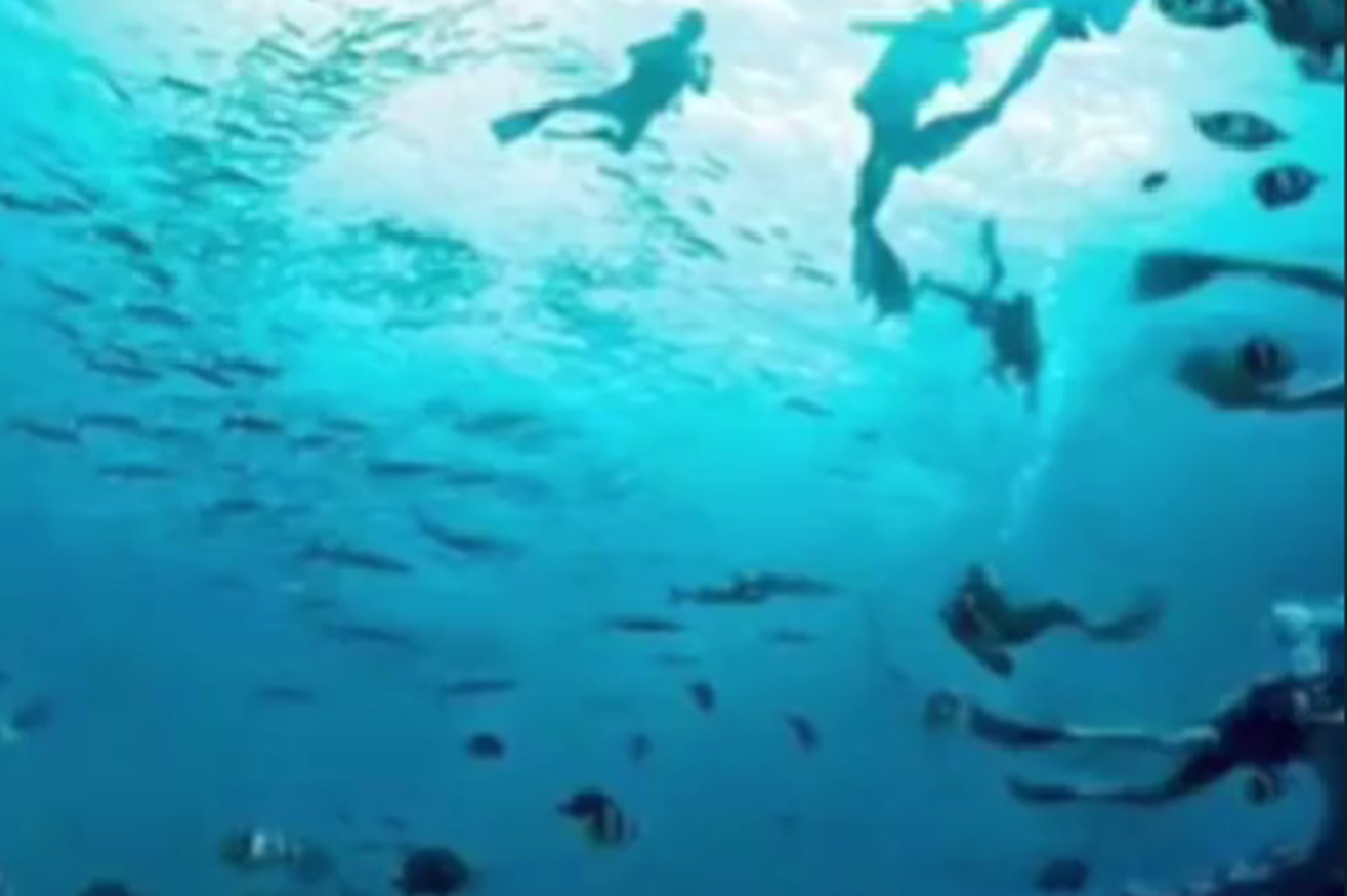 Što prvo vidite? Ova optička iluzija otkriva mogu li vas drugi lako prevariti