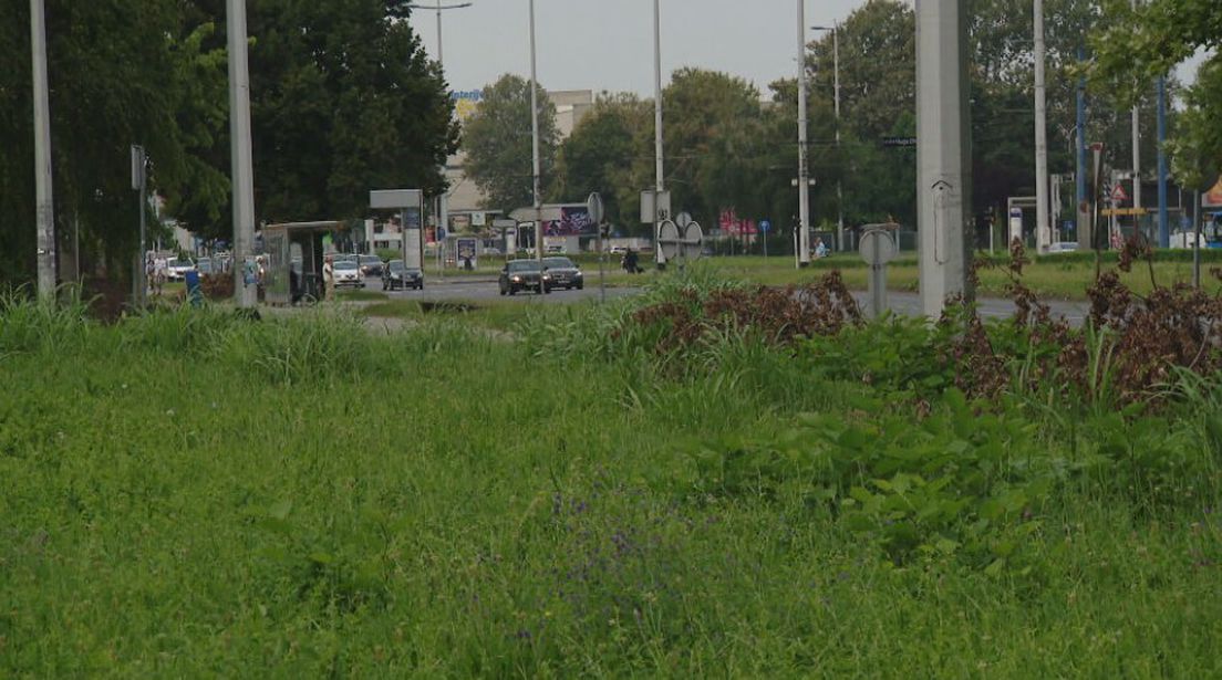 Zagreb je opet nepokošeni grad, a sada im je opravdanje još bizarnije od onog da kosilice ne rade po kiši i vlazi