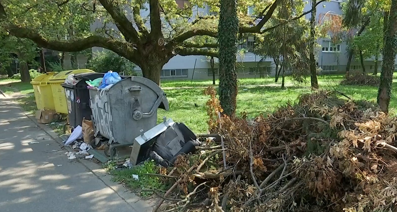 Zagreb nikad gori – porušena stabla posvuda, obrasle livade i kontejneri koji kipe: ‘Crvi i komarci posvuda’