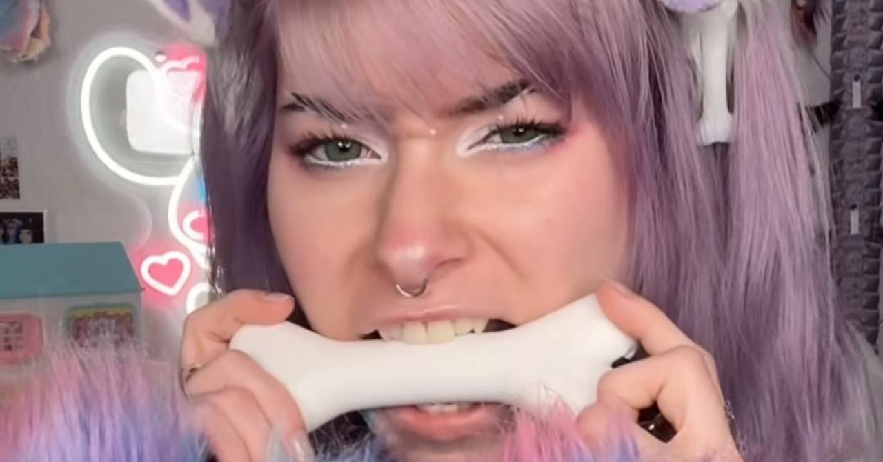 VIDEO Dalmatinerica: Ja nisam žena, ja sam pas. Spavam u kavezu, treneri me izvode u šetnju, volim pseće keksiće