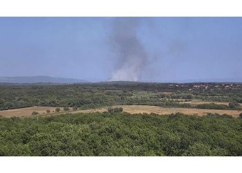 VIDEO Požar u Istri lokaliziran uz pomoć kanadera