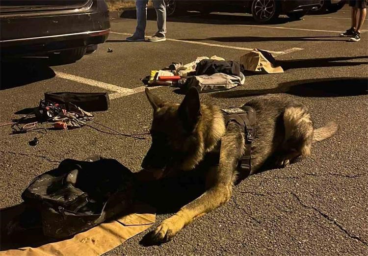 Ovaj rijetko simpatični policajac riješio je Srbijanca/Bosanca s 5,5 kg kokaina