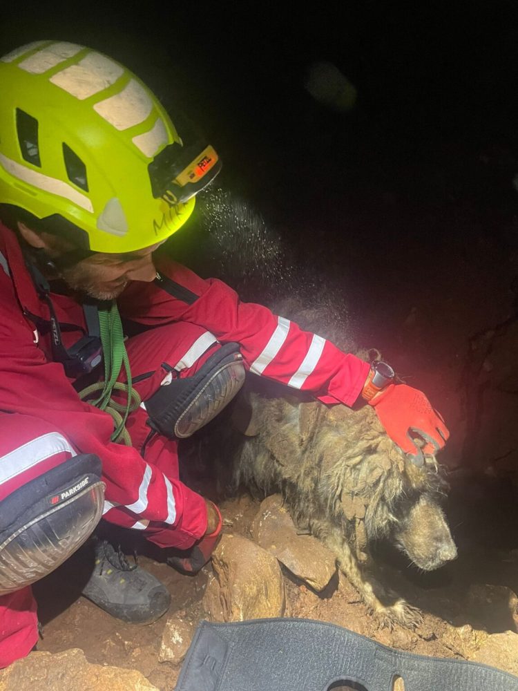FOTO, VIDEO HGSS spasio psa iz jame duboke 40 metara na području Lećevice