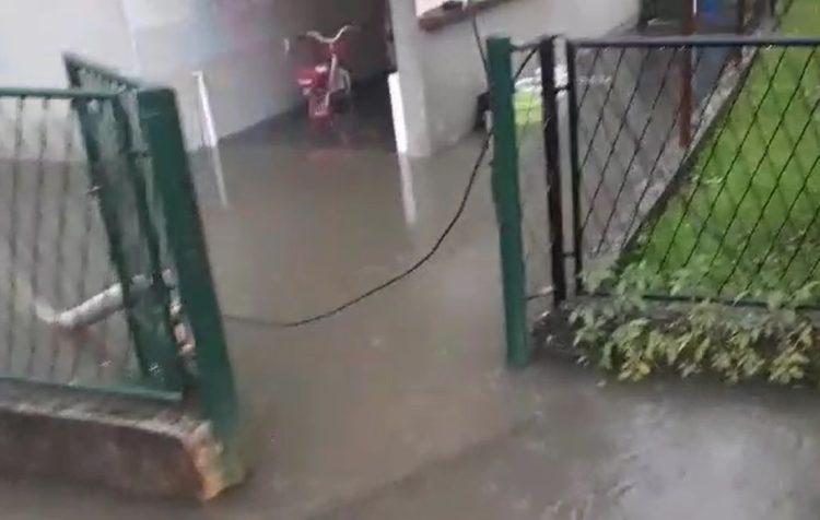 Obilna kiša u Zagrebu, na jednu osobu palo stablo