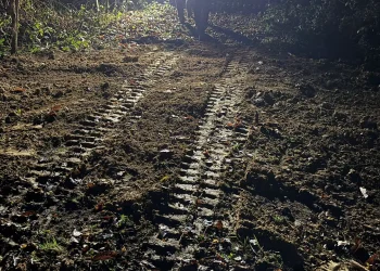 Što su roditelji zakopanih beba: Pripadnici u Hrvatskoj malo poznatog religijskog pokreta