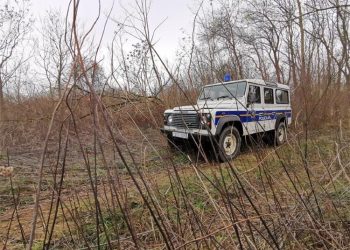 Preiskusni slovenski drvosječa pilio par metara preko granice u Hrvatskoj. Nije mu bilo spasa