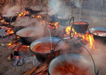 VIDEO Užas u Baranji: Veliki požar zahvatio popularni restoran u Vardarcu