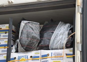 Zaplijenjeno 85 kilograma kokaina u riječkoj luci: Droga bila skrivena među bananama iz Ekvadora