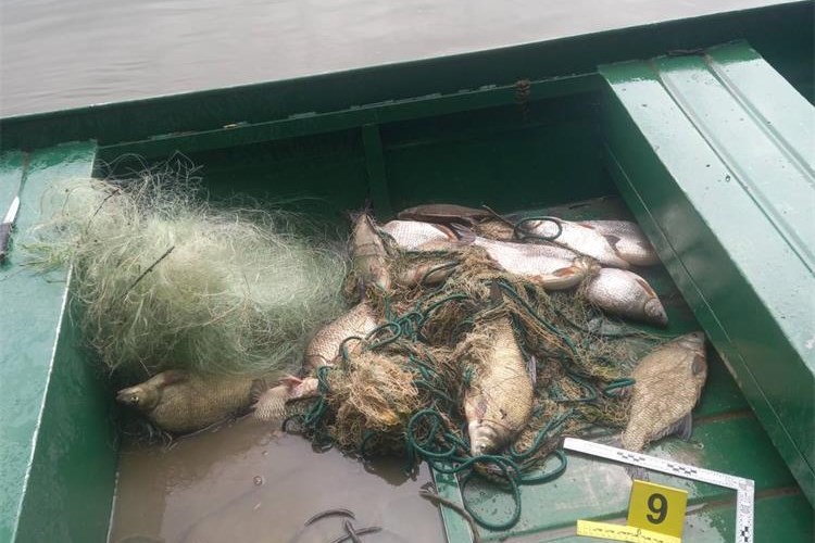 U Kopačkom ritu zatečeni u krivolovu: Trojac ulovio 60 kg ribe, oduzete mreže, čamac i streljivo