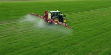 Nezapamćen pomor pčela u Slavoniji: Sumnja se na zabranjene pesticide