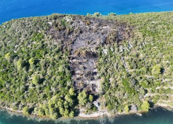 Splitska policija obradila dvojicu zbog izazivanja požara. Jedan je državljanin Argentine