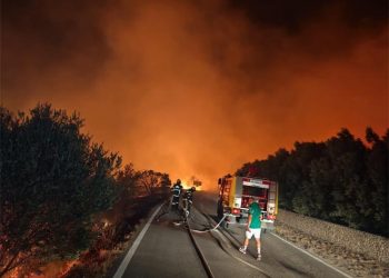 Veliki požar uništio hangar peradarske farme kod Biograda: Stradalo 18500 kokoši nesilica