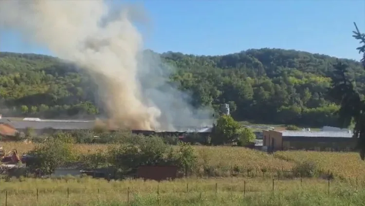 Strašan požar u Slavoniji progutao tvornicu prozora i vrata: Prijetilo uništenje i okolnim kućama…