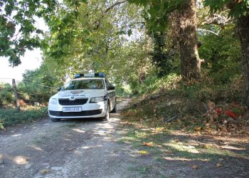 Užas u Istri: U šumi pronađeno mrtvo tijelo