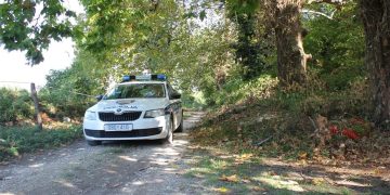 Užas u Istri: U šumi pronađeno mrtvo tijelo