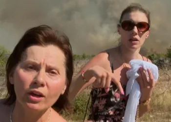 Afera Nakaze: Potvrđena optužnica protiv Anne Dujić. Kćeri bivšeg šefa Hrvatskih šuma prijeti do osam godina zatvora