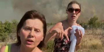 Afera Nakaze: Potvrđena optužnica protiv Anne Dujić. Kćeri bivšeg šefa Hrvatskih šuma prijeti do osam godina zatvora