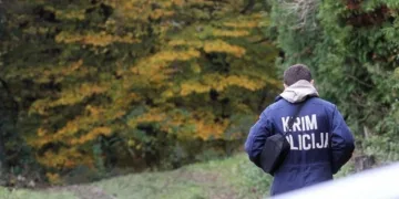 Radnik Hrvatskih šuma rušio stablo. Dio je pao na kolegu u ubio ga…