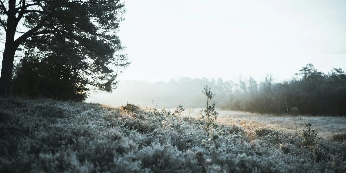 Silvestrovo hladno i sunčano. U novogodišnjoj noći na istoku moguć slab snijeg