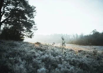 Silvestrovo hladno i sunčano. U novogodišnjoj noći na istoku moguć slab snijeg