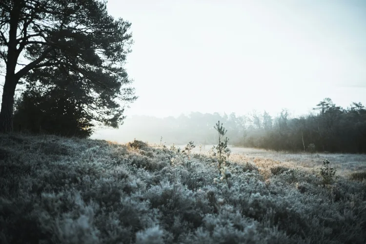 Silvestrovo hladno i sunčano. U novogodišnjoj noći na istoku moguć slab snijeg