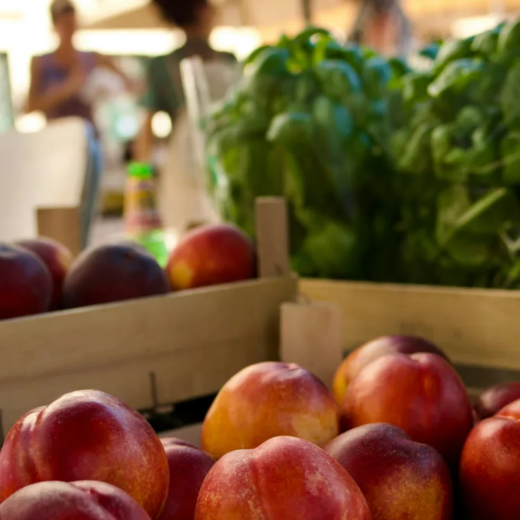 Srbijanac i Bosanac švercali kokain u nektarinama u Hrvatsku. Zna se za jednu pošiljku zasad…