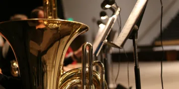 Ako netko misli da su romski trubači iz Srbije došli slučajno – vara se. To je dio smišljene i organizirane politike obavještajnih službi