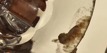 FOTO Stravična hrana na Euru za rukometaše iz Hrvatske: Malo crva a malo i plastike…