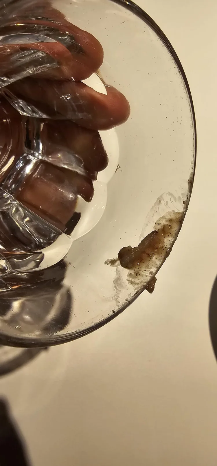 FOTO Stravična hrana na Euru za rukometaše iz Hrvatske: Malo crva a malo i plastike…