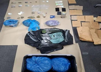 Zagreb: Diler imao više od 31 kg hašiša i još štošta