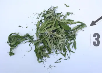 U Labinu je Austrijanac ponudio drogu policajcima. Nije dobro završio…