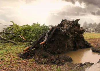 Milanović apelirao da ljudi pomognu jedni drugima u jakom nevremenu koje je zahvatilo Hrvatsku
