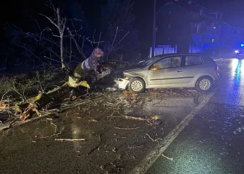 FOTO Užas kraj Zagreba: Stablo palo na auto. Teško ozlijeđeno dijete
